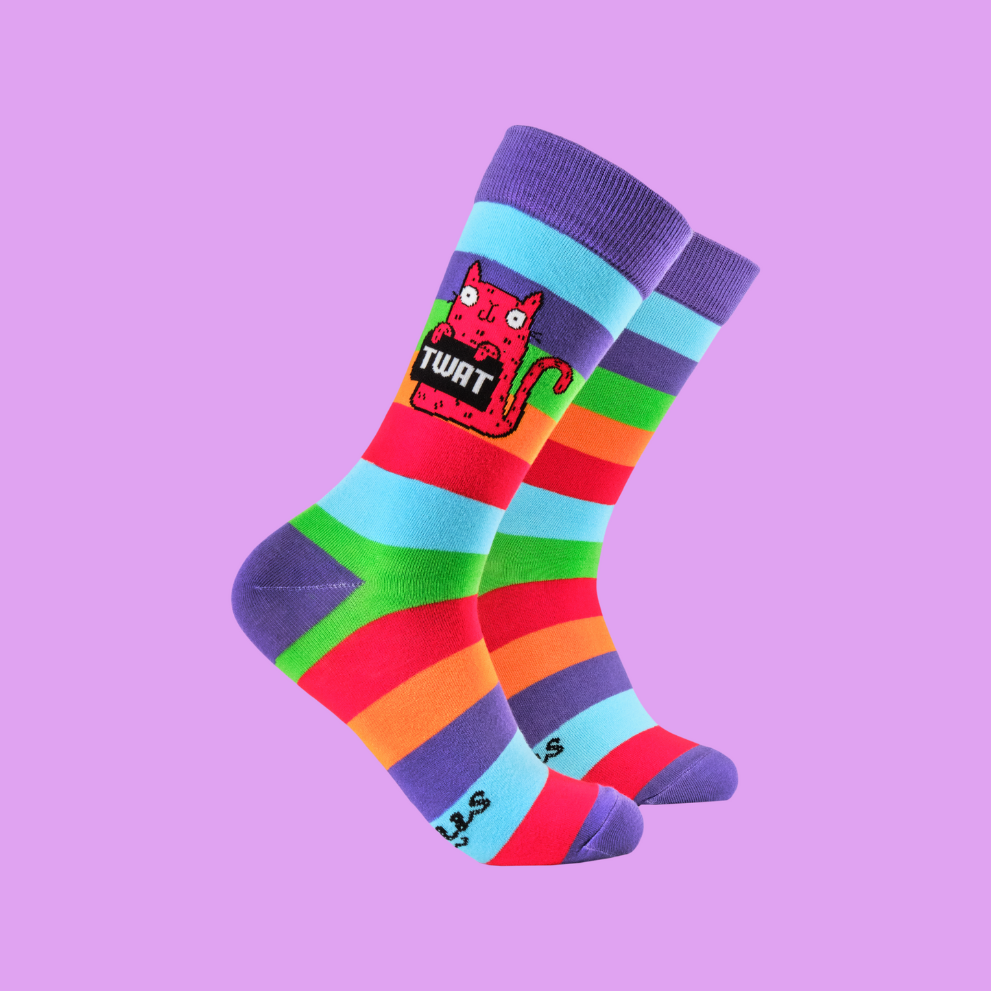 A pair of socks featuring a cute cat holding a sweary sign. Rainbow legs. 