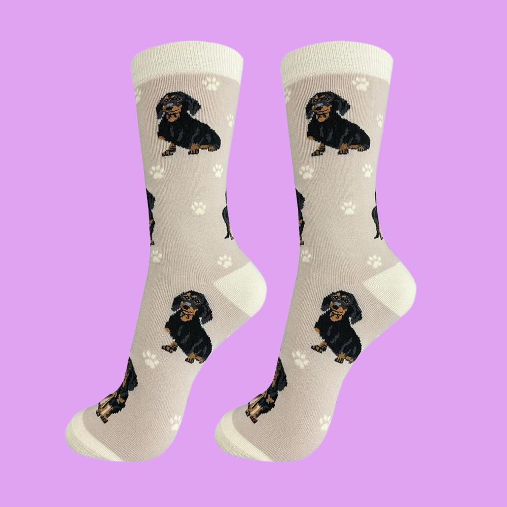 
                  
                    A pair of socks depicting sausage dogs. Cream legs, light cream heel, toe and cuff.
                  
                