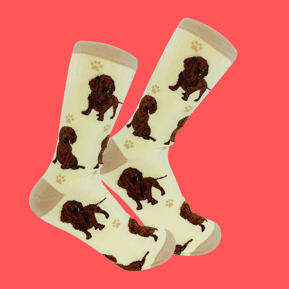 Red Dachshund Dog Full Body Socks