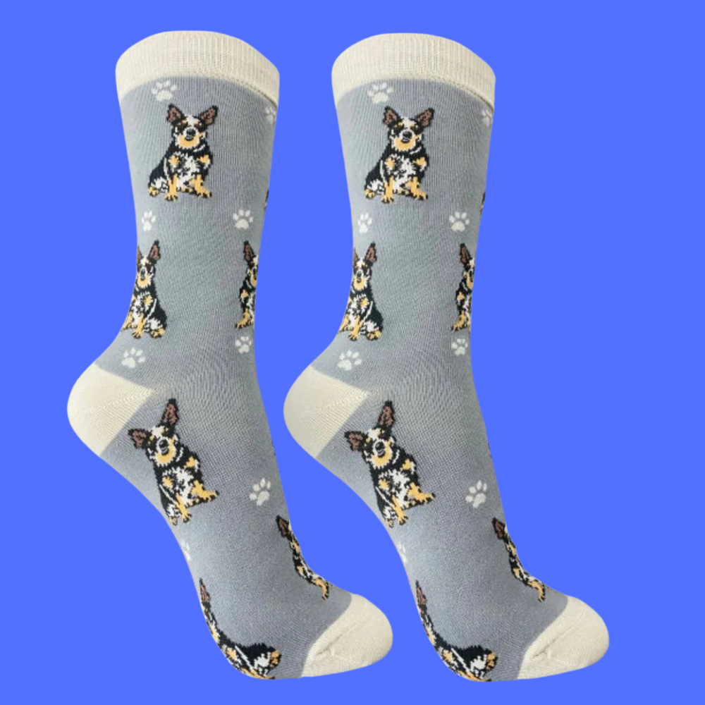 
                      
                        Australian Cattle Dog Full Body Socks
                      
                    