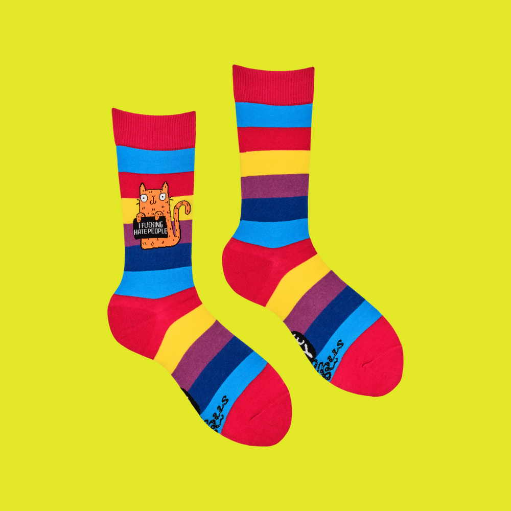 
                      
                        A pair of socks featuring a cute cat holding a sweary sign. Rainbow striped legs. 
                      
                    