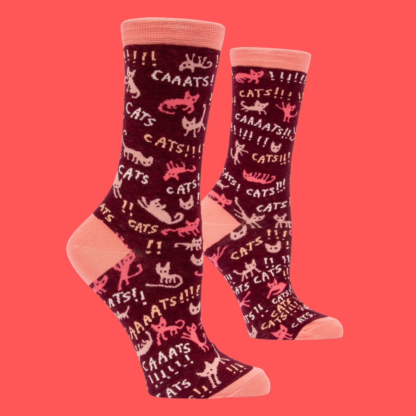 Cats! Socks