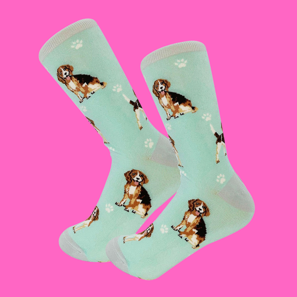 
                  
                    A pair of socks depicting sitting beagles. Turquoise legs, grey heel, cuff and toe.
                  
                