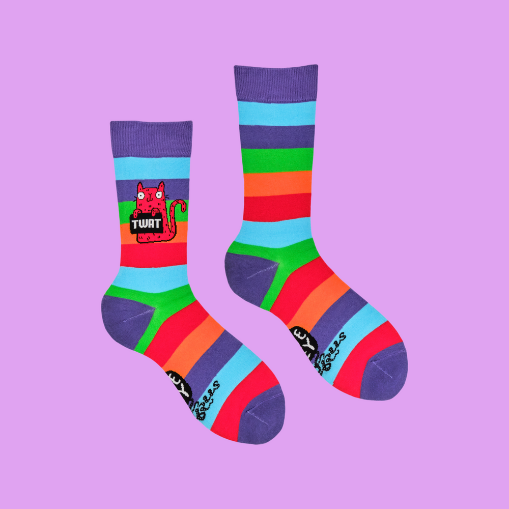 
                      
                        A pair of socks featuring a cute cat holding a sweary sign. Rainbow legs. 
                      
                    