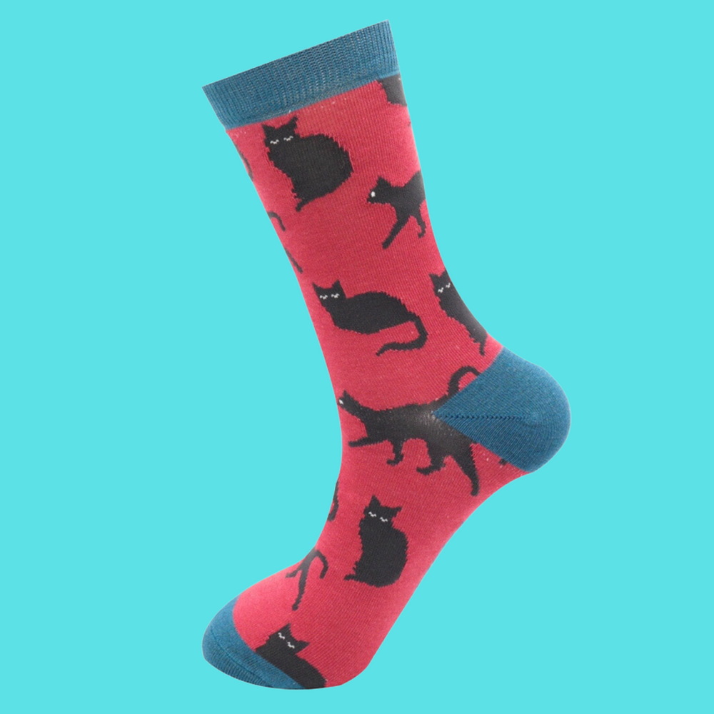 
                  
                    A pair of socks depicting cute black cats. Red legs, blue toe, cuff and heel.
                  
                