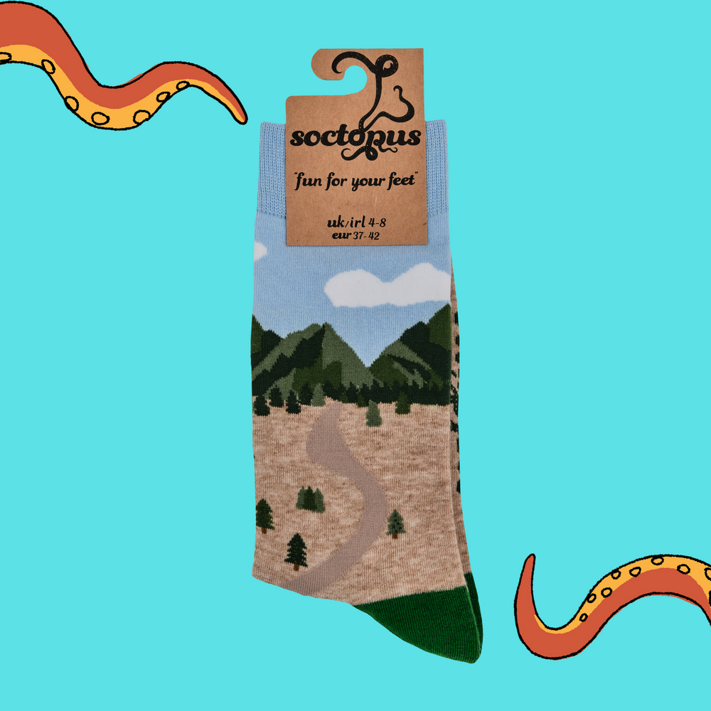 
                      
                        Road Trip Socks - Open Road
                      
                    