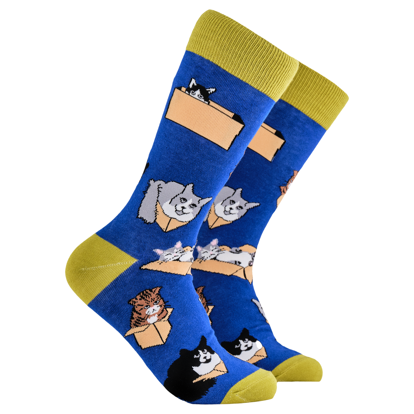 Cat Socks - Purrrfect Fit. A pair of socks depicting cats in boxes. Blue legs, yellow cuff, heel and toe.