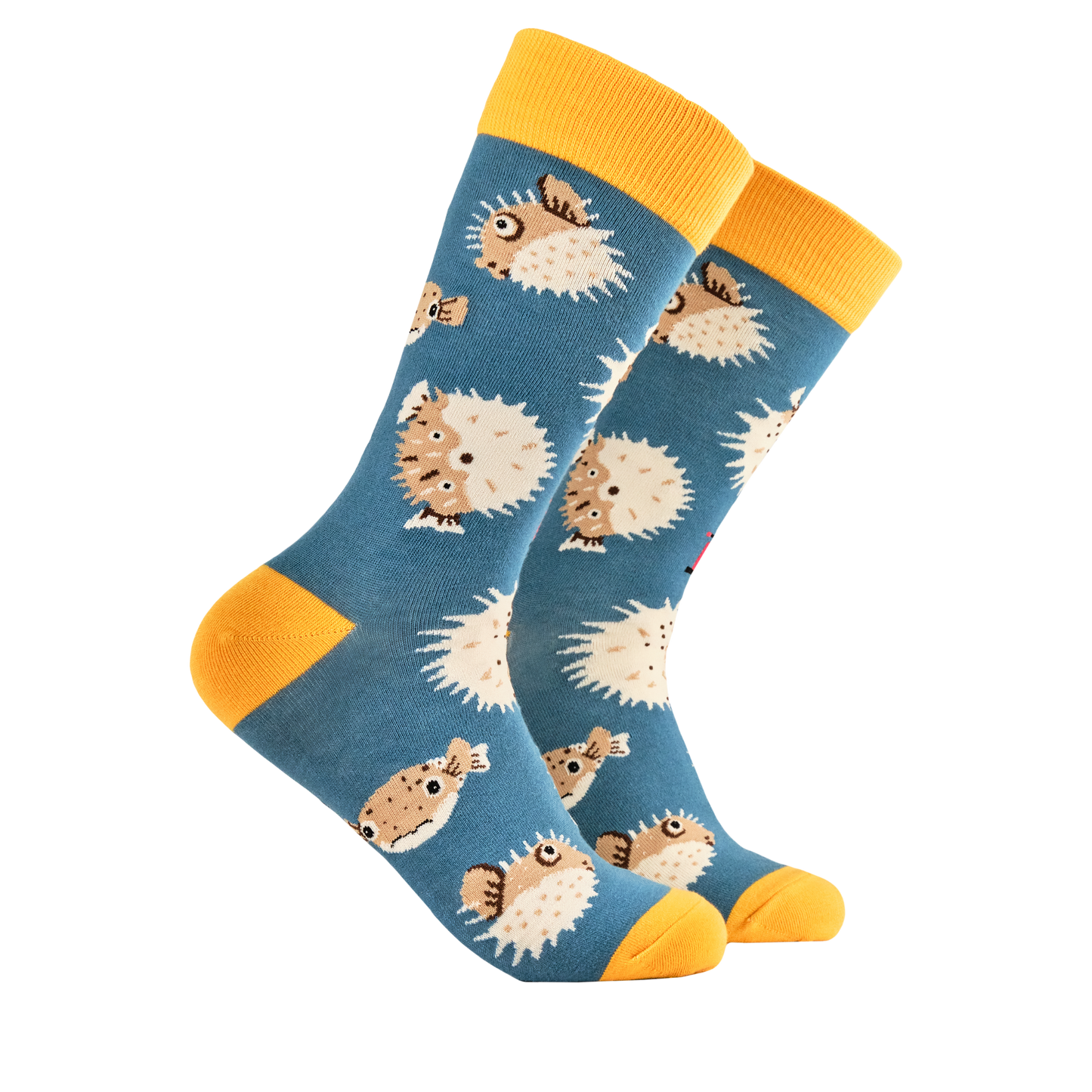 Puffer Fish Socks - Pumped Up. A pair of socks featuring a puffer fish motif. Teal legs, yellow heel, toe and cuff. 