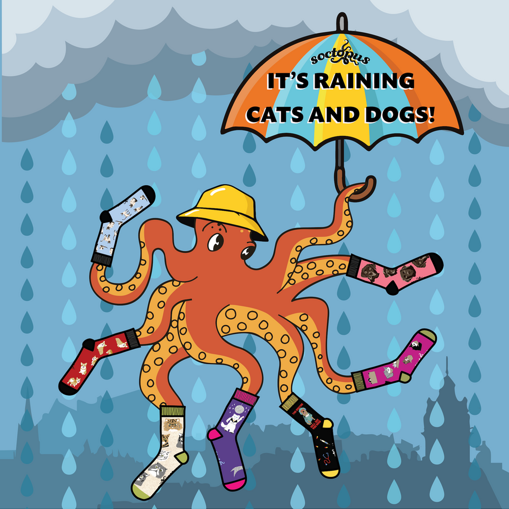 It's raining cats and dogs banner - Captain Soctopus holding an umbrella. 