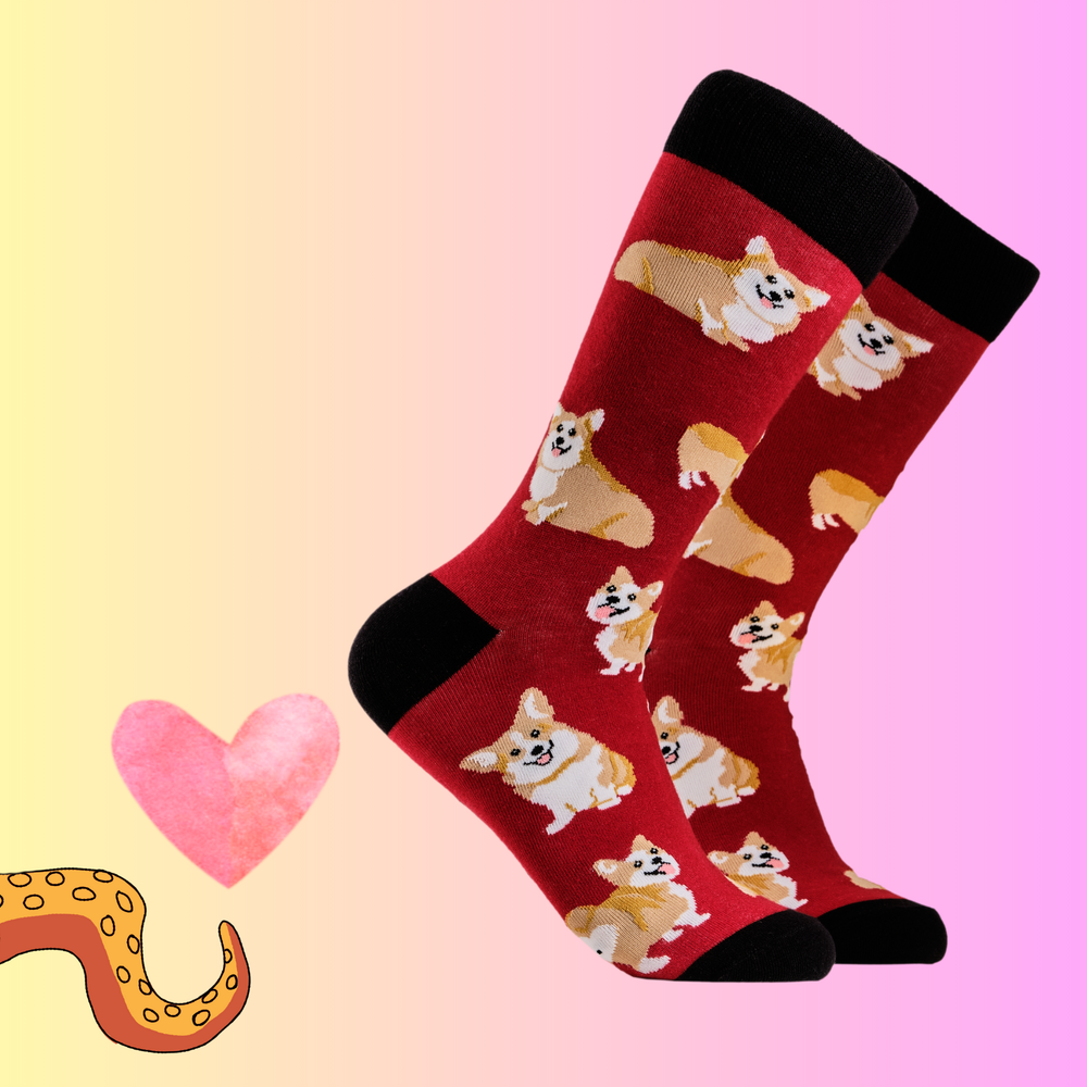 
                      
                        Corgis Socks
                      
                    