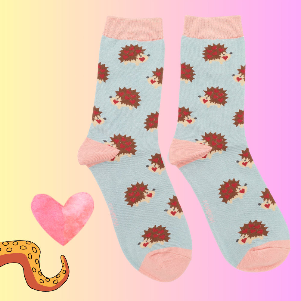 
                      
                        A pair of socks with a hedgehog motif. Light blue legs, pink heel, toe and cuff. 
                      
                    