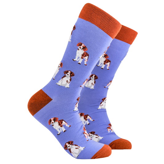 Spaniel Socks. A pair of socks depicting spaniels. Purple legs, red cuff, heel and toe.