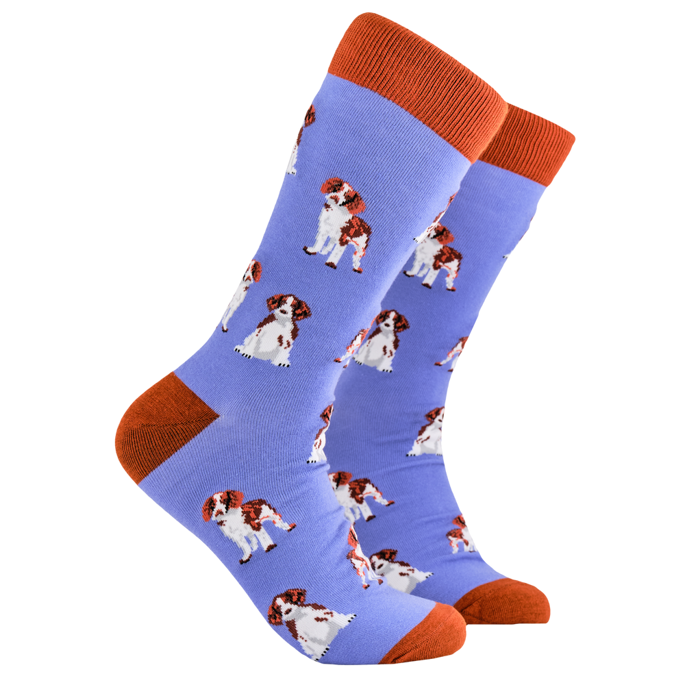 Spaniel Socks. A pair of socks depicting spaniels. Purple legs, red cuff, heel and toe.