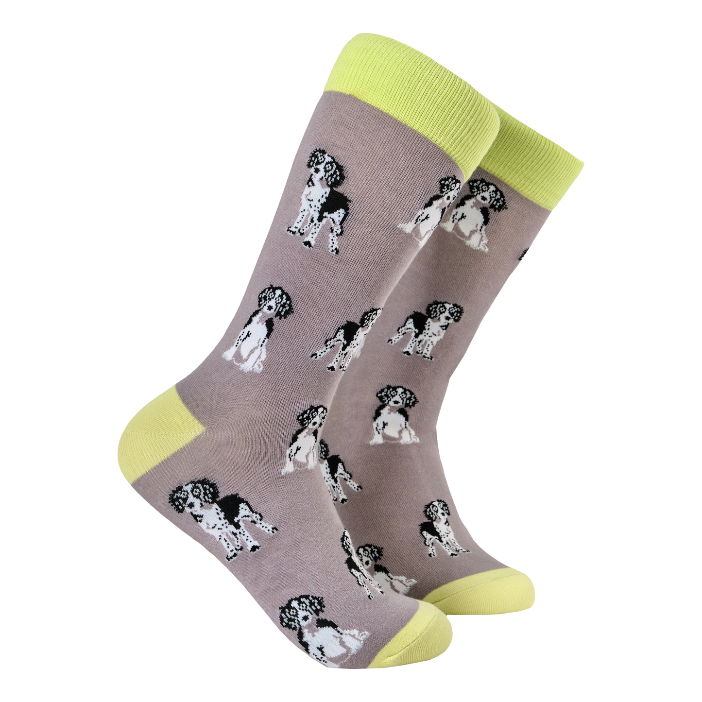 
                  
                    Spaniel Socks
                  
                