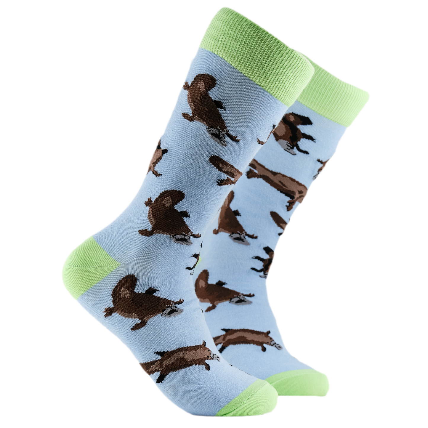 Platypus Socks - Splatypuss. A pair of socks depicting duck billed platypus. Light blue legs, light green cuff, heel and toe.