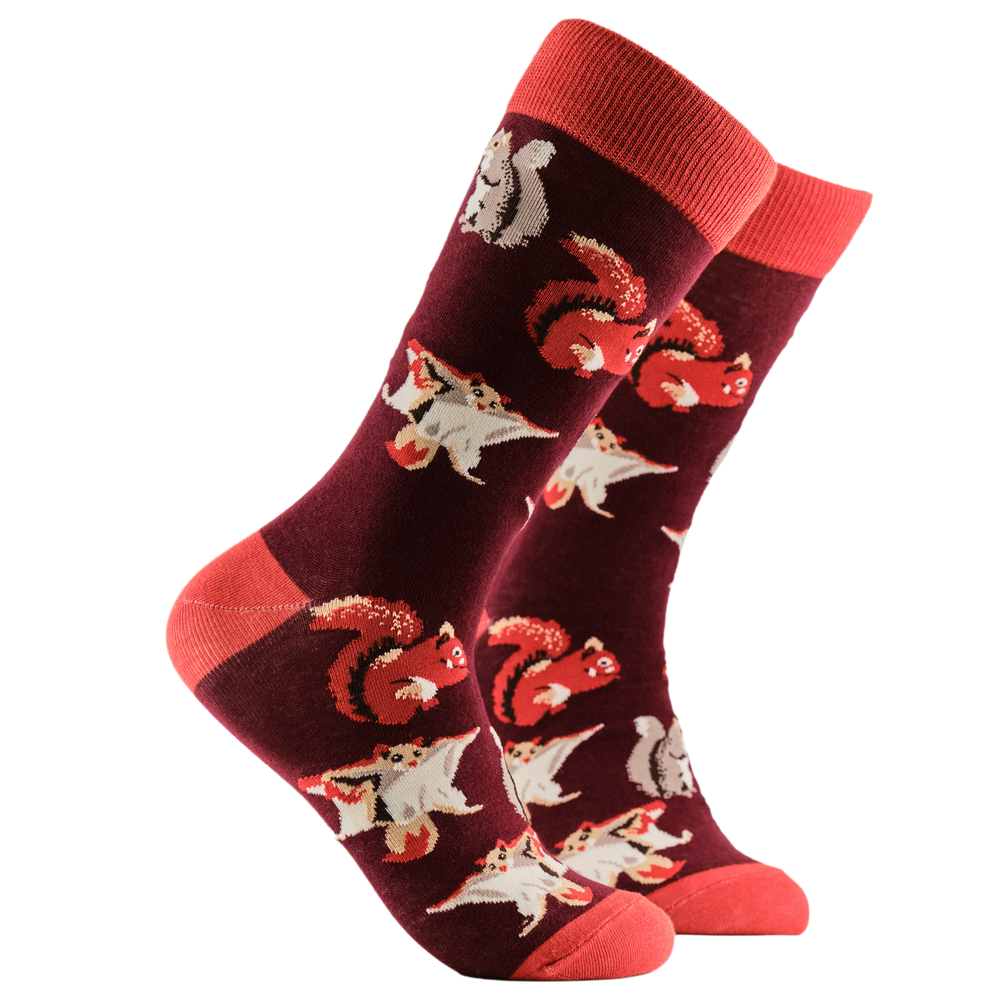 Squirrel Lover Socks. A pair of socks depicting different kinds of squirrel. Dark red legs, red cuff, heel and toe.