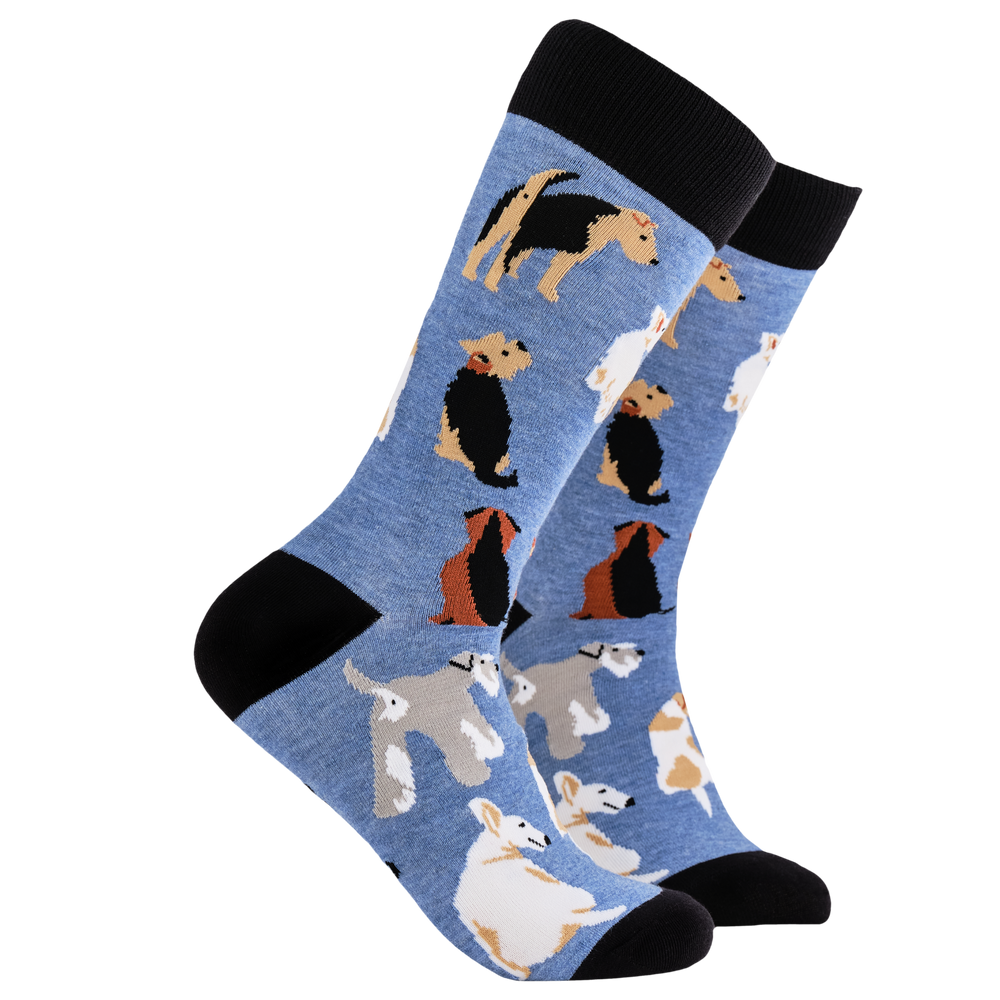 Terrier Socks - Terrier Tale. A pair of socks depicting different terrier dogs. Blue legs, black cuff, heel and toe.