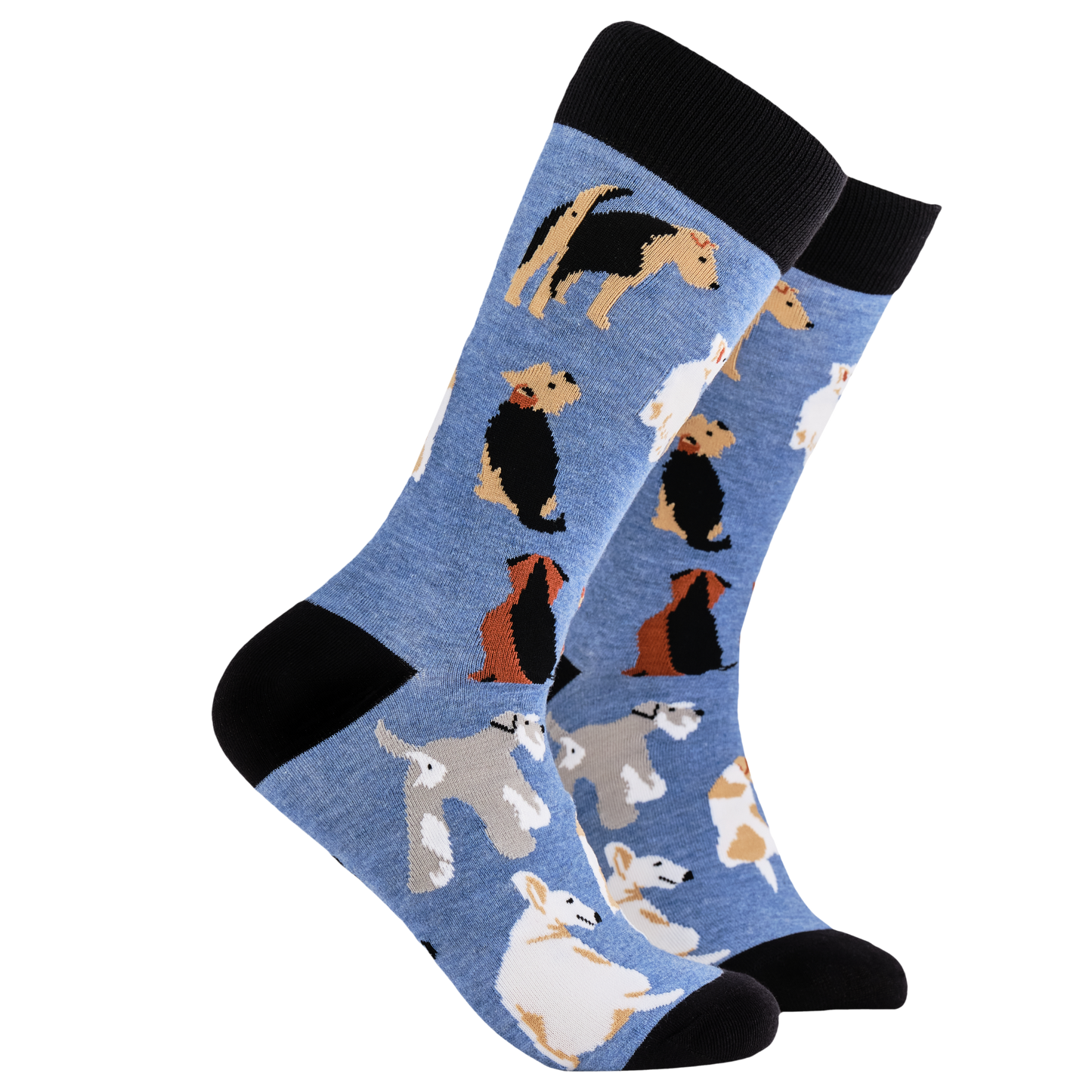 Terrier Socks - Terrier Tale. A pair of socks depicting different terrier dogs. Blue legs, black cuff, heel and toe.