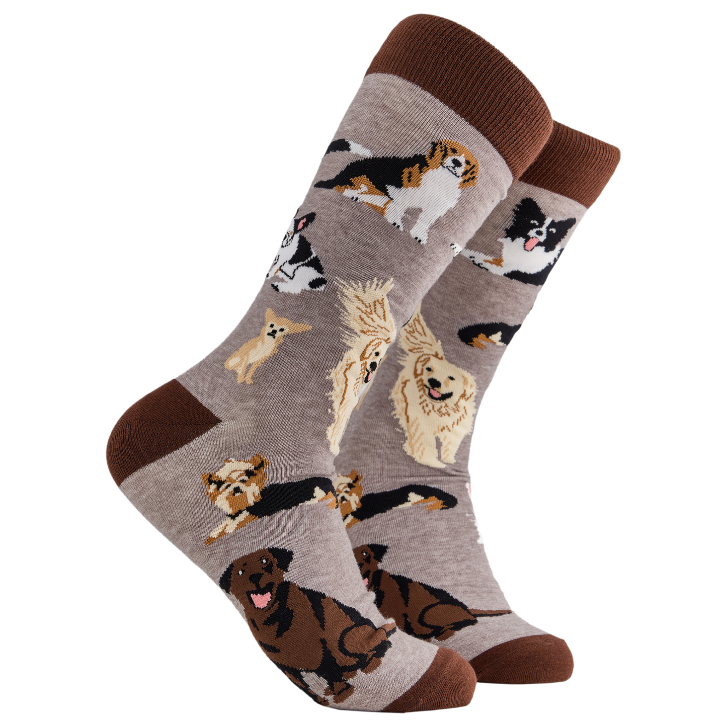 
                  
                    A pair of socks depicting different breeds of dog. Grey legs, brown cuff, heel and toe.
                  
                