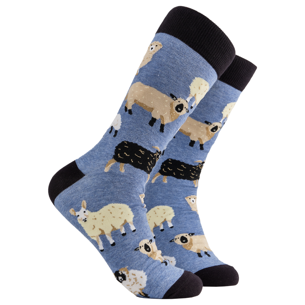 Sheep Lover Socks. A pair of socks depicting different breeds of British sheep. Blue legs, black cuff, heel and toe.