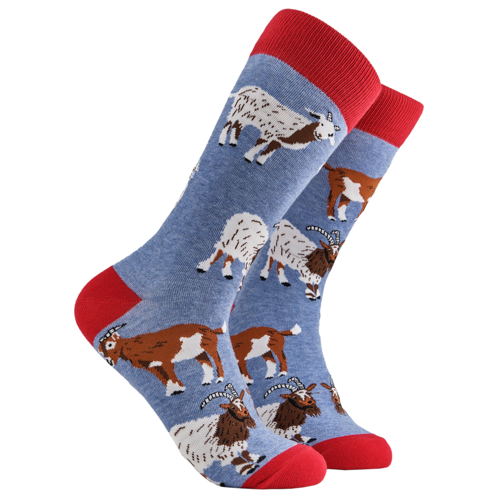 
                  
                    Goat Lover Socks. A pair of socks depicting different breeds of goat. Blue legs, red cuff, heel and toe.
                  
                