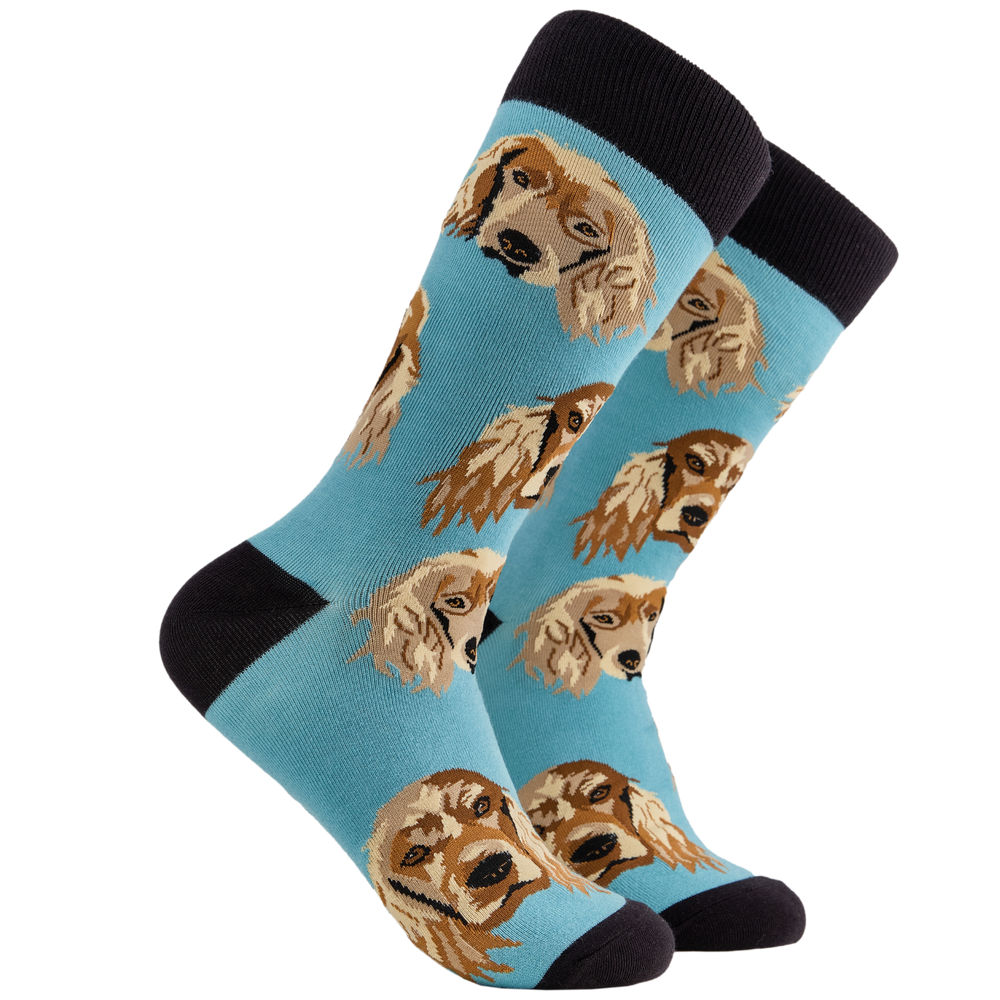 Cocker Spaniel Socks. A pair of socks depicting cocker spaniels. Blue legs, black cuff, heel and toe.