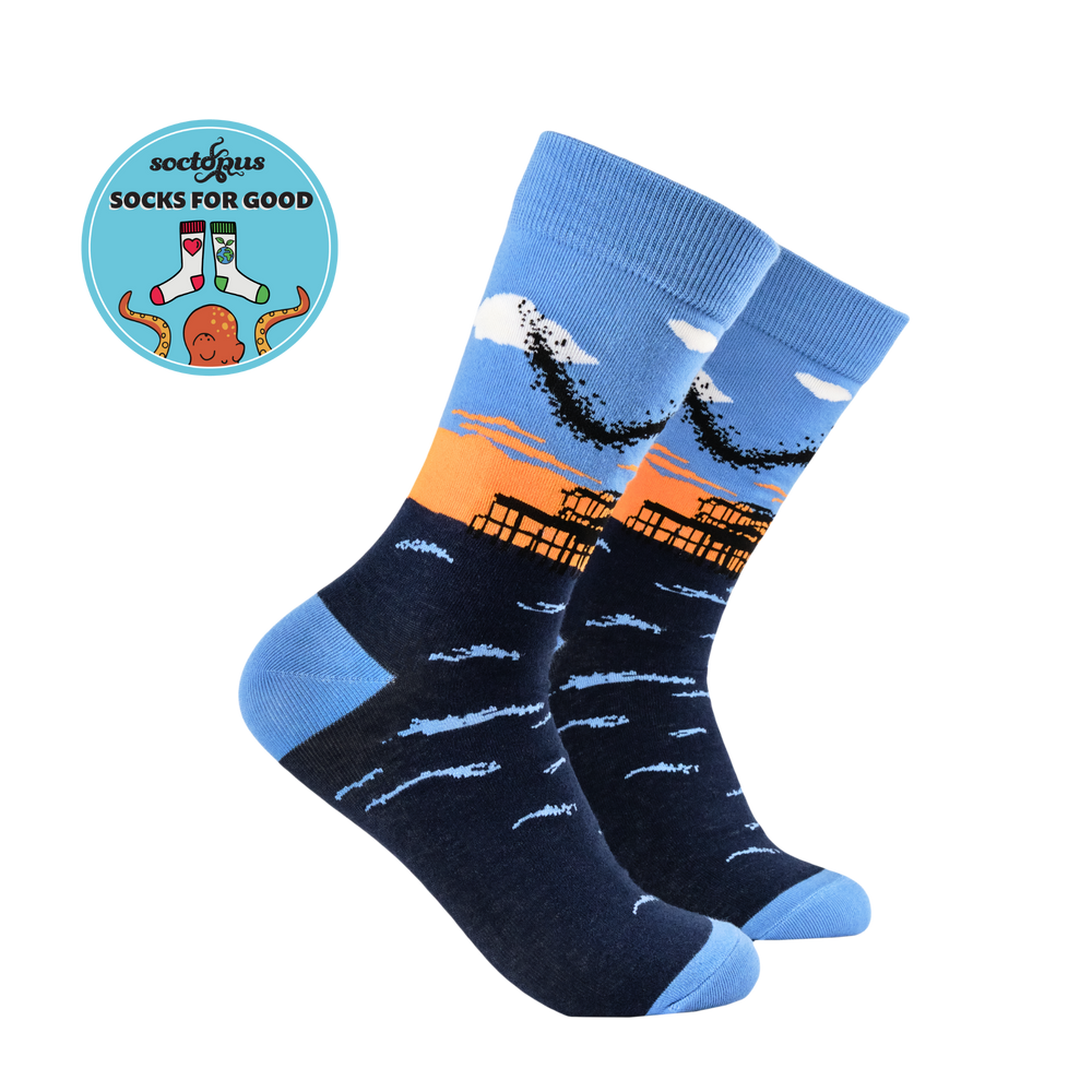 Murmurations Socks - Together Co Collaboration