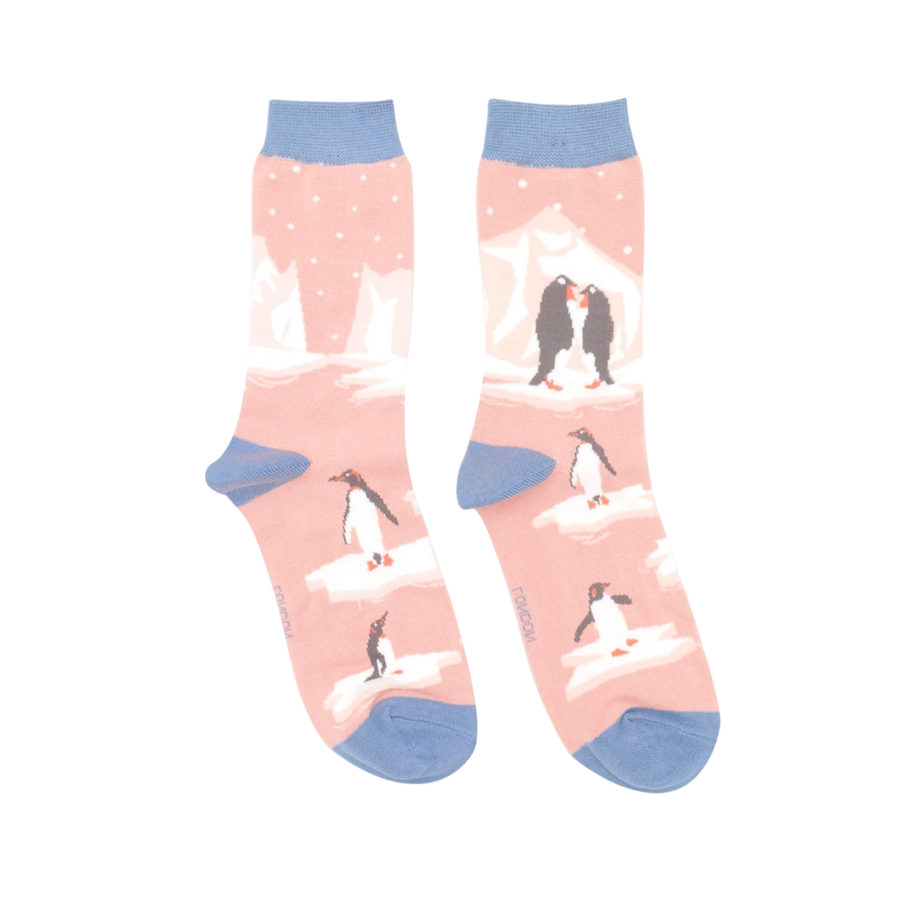 Penguins on Ice Bamboo Socks - Miss Sparrow. A pair of socks depicting penguins on ice. Pink legs. Light blue toes, heel and cuff. 