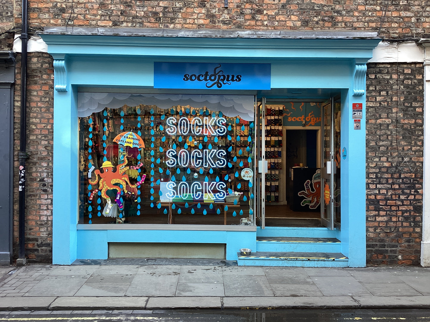 Soctopus Shop Front - York