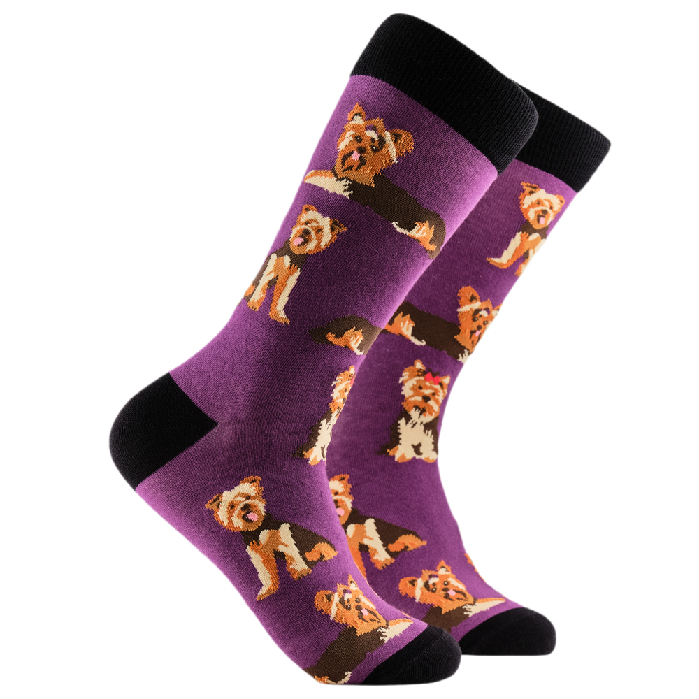 Yorkshire Terrier Socks - Yorkies. A pair of socks depicting Yorkshire Terriers. Purple legs, black cuff, heel and toe.